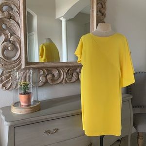 Zara Basic Dress